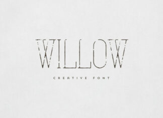 Willow Serif Font