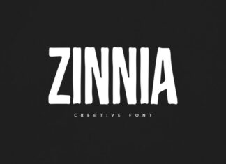 Zinnia Display Font
