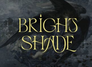 Bright shade Font