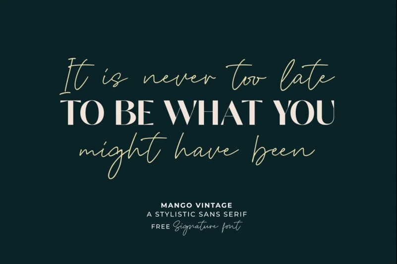 Wild Mango Font Serif Font Modern Font Boho Font Branding 