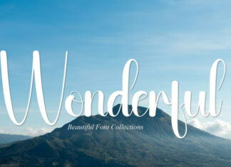 Wonderful Script Font