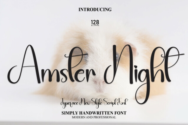 Amster Night Script Font