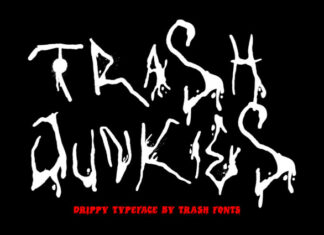 Trash Junkies Display Font