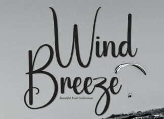 Wind Breeze Script Font