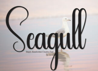 Seagull Display Font