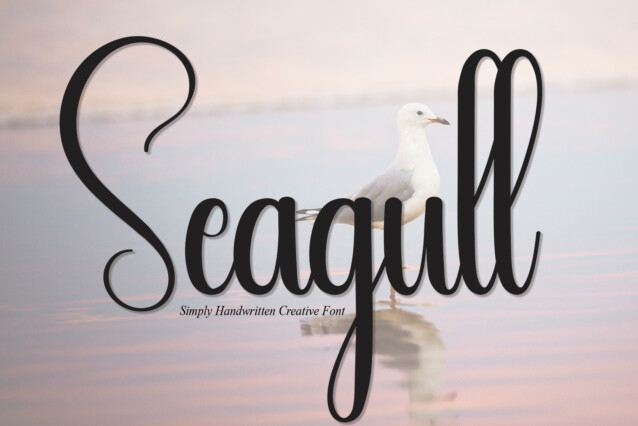Seagull Display Font
