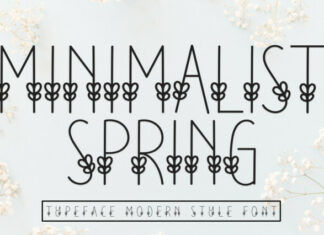 Minimalist Spring Display Font