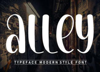 Alley Display Font
