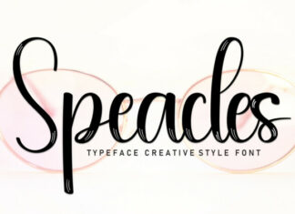 Speacles Brush Font