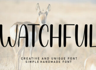 Watchful Display Font