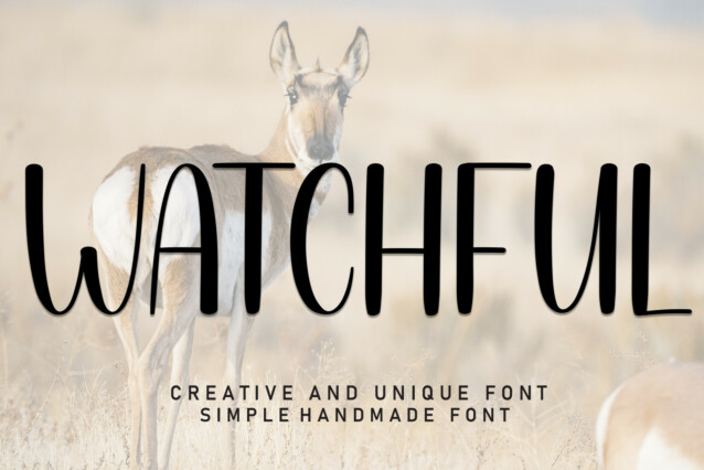 Watchful Display Font