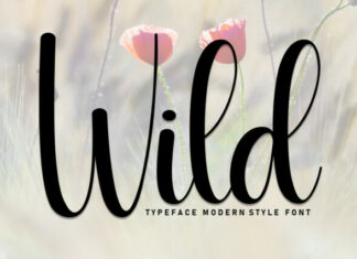 Wild Script Font