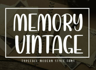 Memory Vintage Display Font