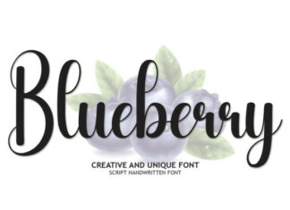 Blueberry Script Typeface