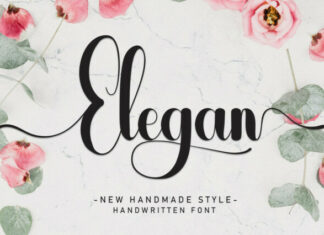 Elegan Script Font