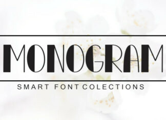 Monogram Display Font