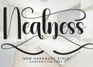 Neatness Script Font
