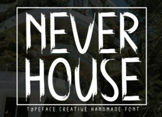 Never House Display Font