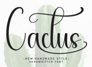 Cactus Script Font