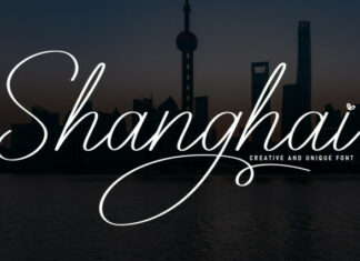 Shanghai Script Font