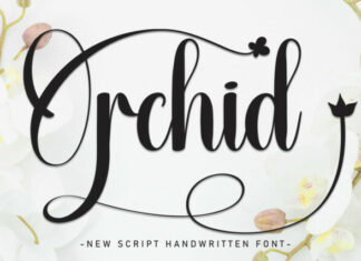 Orchid Script Font