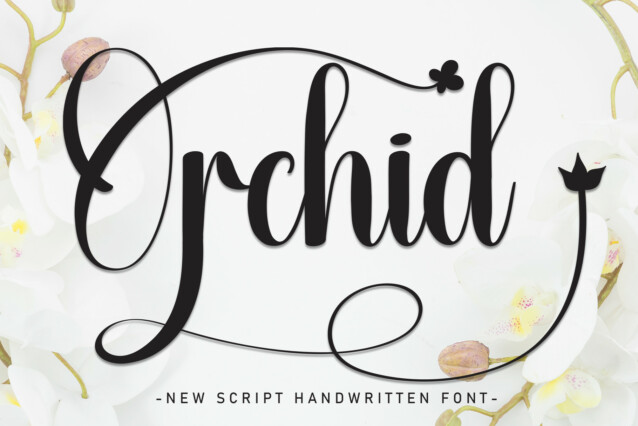 Orchid Script Font