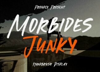 Morbides Junky Font