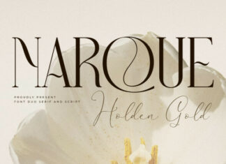 Narque Holden Gold Font