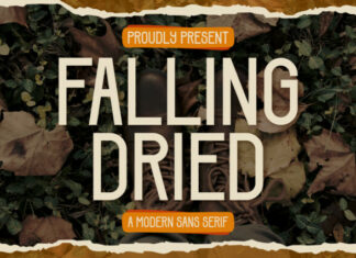 Falling Dried Font
