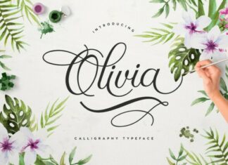 Olivia Typeface