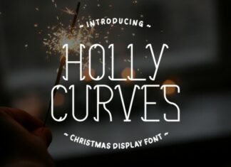 Holly Curves Font