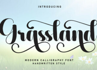 Grassland Script Font
