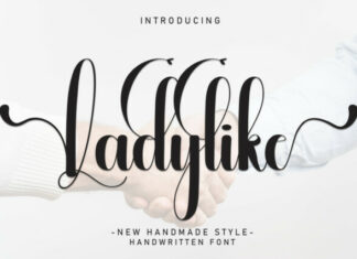 Ladylike Script Typeface