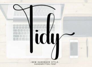 Tidy Script Font