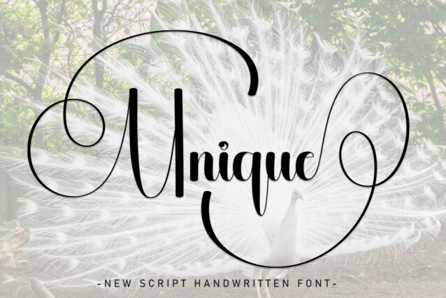Unique Script Font