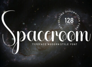 Spaceroom Script Font
