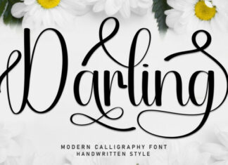Darling Script Typeface