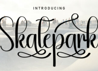 Skatepark Script Font