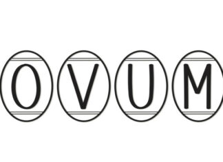 Ovum Display Font