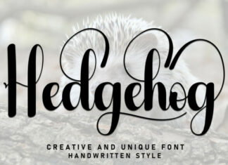 Hedgehog Script Font