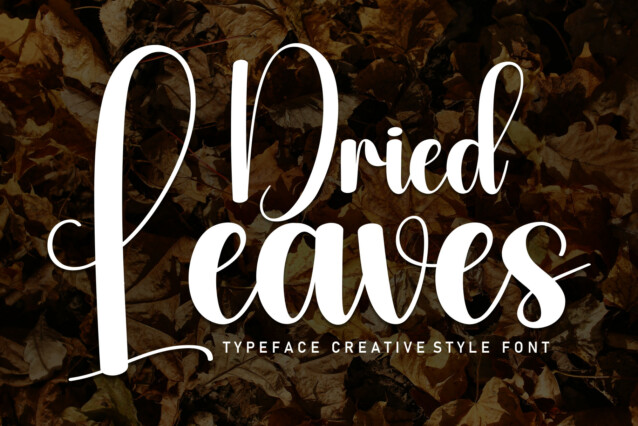 Dried Leaves Display Typeface