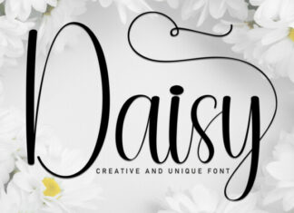 Daisy Script Typeface