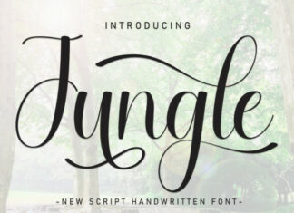 Jungle Script Font