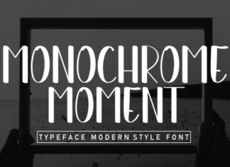 Monochrome Moment Display Font