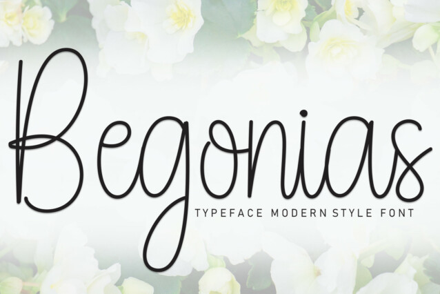 Begonias Script Font