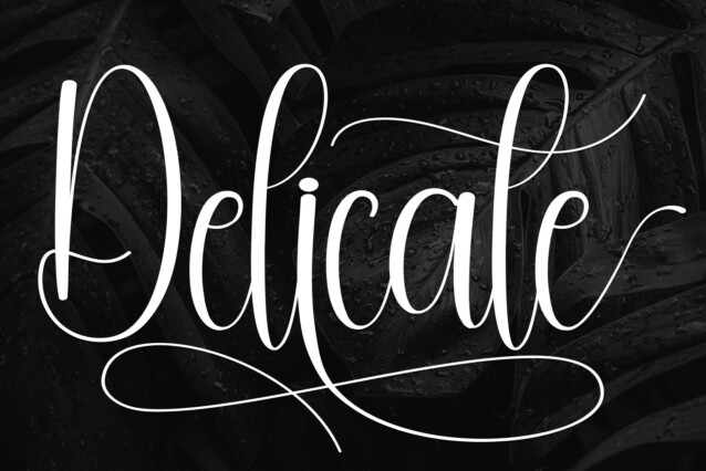 Delicate Font