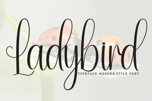 Ladybird Script Font