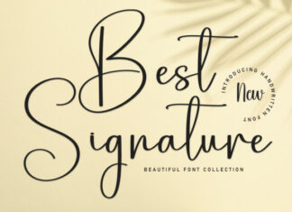 Best Signature Script Font