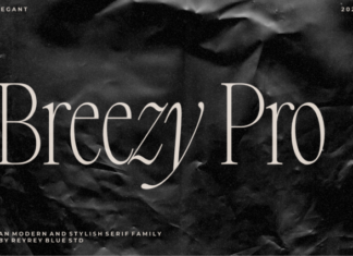Breezy Pro Font