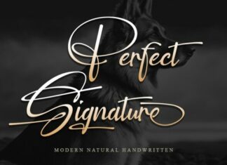 Perfect Signature Font